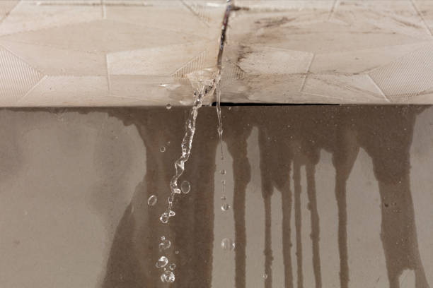 Professional Structural Drying technician working in Etowah, NC